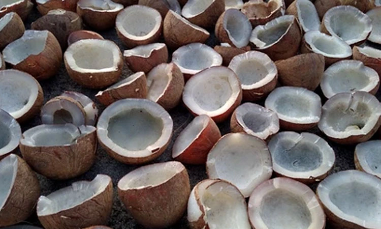 ಬಂಗಾರದಂತೆ ಏರುತ್ತಿದೆ ಕೊಬ್ಬರಿ ಧಾರಣೆ: ಕ್ವಿಂಟಲ್‌ಗೆ ಈಗ ರೂ.30488!