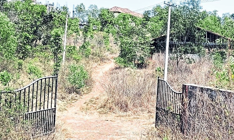 Sullia: ಗೋಶಾಲೆ ಪೂರ್ಣ; ಸೌಕರ್ಯಗಳು ಅಪೂರ್ಣ