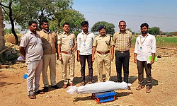 Kanakagiri: ಅಬಕಾರಿ ಅಧಿಕಾರಿಗಳ ದಾಳಿ; 1.35 ಲಕ್ಷ ರೂ., ಬೆಲೆಯ ಗಾಂಜಾ ಬೆಳೆ ವಶ