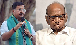 ರಾಜ್ಯಸಭೆಗೆ ನಿತಿನ್ ನವೀನ್, ಶರದ್ ಸೇರಿ ಹಲವರು ಅವಿರೋಧ ಆಯ್ಕೆ?