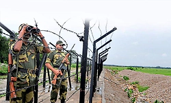 ಬಾಂಗ್ಲಾ ಅಕ್ರಮ ವಲಸಿಗರ ತಡೆಗೆ ಮೊಸಳೆ ಕಾವಲು?