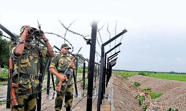 ಬಾಂಗ್ಲಾ ಅಕ್ರಮ ವಲಸಿಗರ ತಡೆಗೆ ಮೊಸಳೆ ಕಾವಲು?