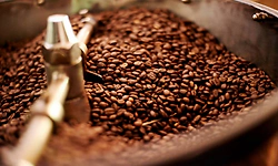 India's coffee exports jump 27% in Jan-Apr on strong robusta, instant coffee demand