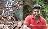 Belthangady: ನಾಗರಹಾವಿನ 16 ಮೊಟ್ಟೆಗಳಿಗೆ ಕೃತಕ ಕಾವು; ಮರಿಗಳ ರಕ್ಷಣೆ