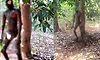ಲಾಯಿಲ : ನೇಣು ಬಿಗಿದ ಸ್ಥಿತಿಯಲ್ಲಿ ಕೊಳೆತ ಶವ ಪತ್ತೆ