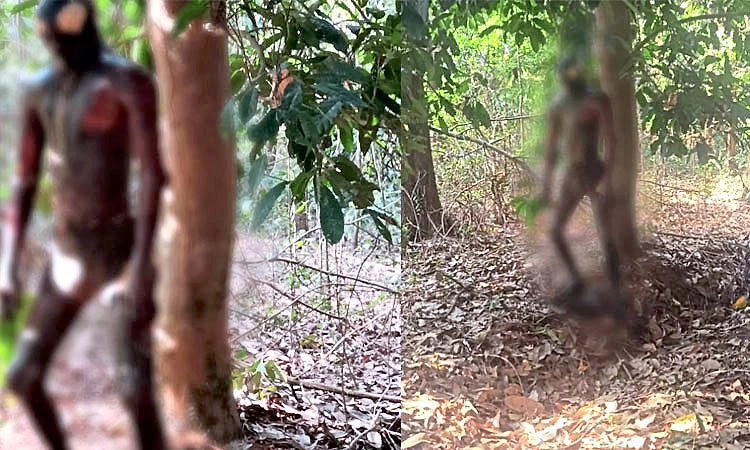 ಲಾಯಿಲ : ನೇಣು ಬಿಗಿದ ಸ್ಥಿತಿಯಲ್ಲಿ ಕೊಳೆತ ಶವ ಪತ್ತೆ