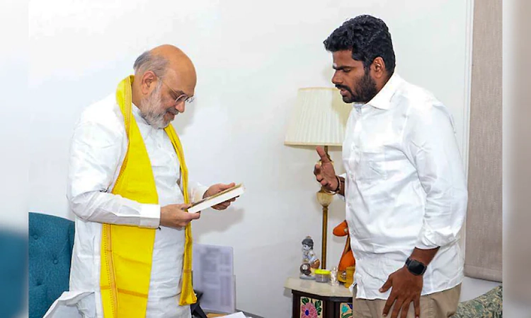 ‘Our views don't align on Tamil Nadu’: Read Annamalai's resignation letter here 
