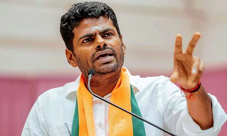 Tamil Nadu BJP: ಕೆ.ಅಣ್ಣಾಮಲೈ ರಾಜೀನಾಮೆ ಅಂಗೀಕರಿಸಿದ ಬಿಜೆಪಿ; ಹೊಸ ಪಕ್ಷದ ಆರಂಭ?