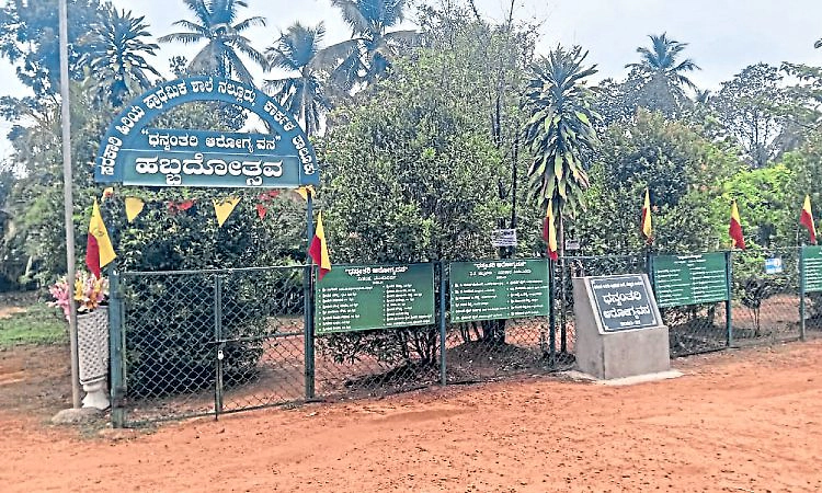 ನಲ್ಲೂರು ಶಾಲೆಯಲ್ಲಿ ಮಕ್ಕಳೇ ನಿರ್ಮಿಸಿದ 'ಧನ್ವಂತರಿ ವನ'