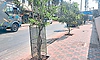 Mangaluru: ಪರಿಸರ ಕಾಳಜಿಯೂ ಇವರಿಗೆ ಭಜನೆ!