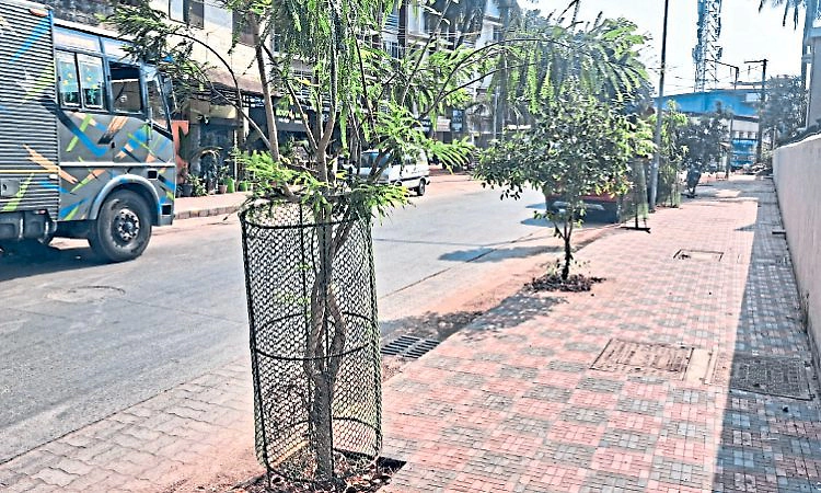Mangaluru: ಪರಿಸರ ಕಾಳಜಿಯೂ ಇವರಿಗೆ ಭಜನೆ!