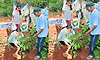 World Environment Day: ವಯಸ್ಸು 88;  ಈಗಲೂ ಗಿಡ ಬೆಳೆಸುವ ಹುಮ್ಮಸ್ಸು!