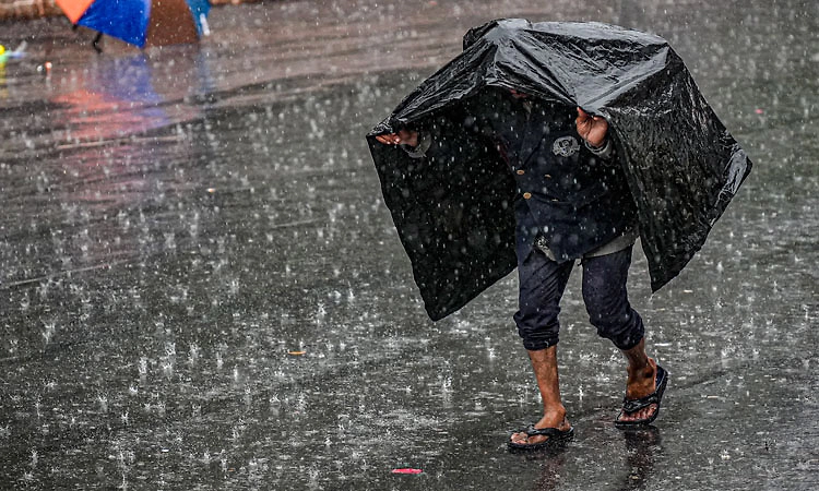 ಕೇರಳಂನಲ್ಲಿ ಭಾರೀ ಗಾಳಿ ಮಳೆ: ಹಲವೆಡೆ ಹಾನಿ, 8 ಜಿಲ್ಲೆಗಳಿಗೆ ಆರೆಂಜ್ ಅಲರ್ಟ್ ಘೋಷಣೆ