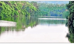 Belman: ಕೃಷಿಕರಿಗೆ ಅರ್ಧ ಜೀವ ತುಂಬಿದ ಆರ್ದ್ರಾ ಮಳೆ
