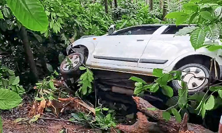 Chikkamagaluru: ಚಾಲಕನ ನಿಯಂತ್ರಣ ತಪ್ಪಿ ಕಾಫಿ ತೋಟಕ್ಕೆ ಉರುಳಿದ ಕಾರು