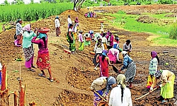 ಜಿ ರಾಮ್‌ ಜಿ: ಕರ್ನಾಟಕಕ್ಕೆ 1,750 ಕೋಟಿ ರೂ. ಅನುದಾನ ಬಿಡುಗಡೆ