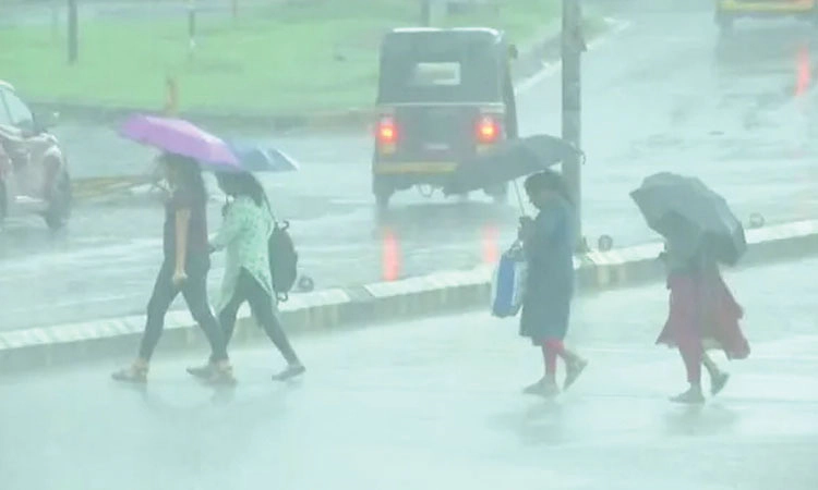 13 ಜಿಲ್ಲೆಗಳಲ್ಲಿ ಮಳೆ: 5 ಸೇತುವೆಗಳು ಜಲಾವೃತ