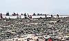 Beach litter piles up at Bengre End Point as river waste washes ashore