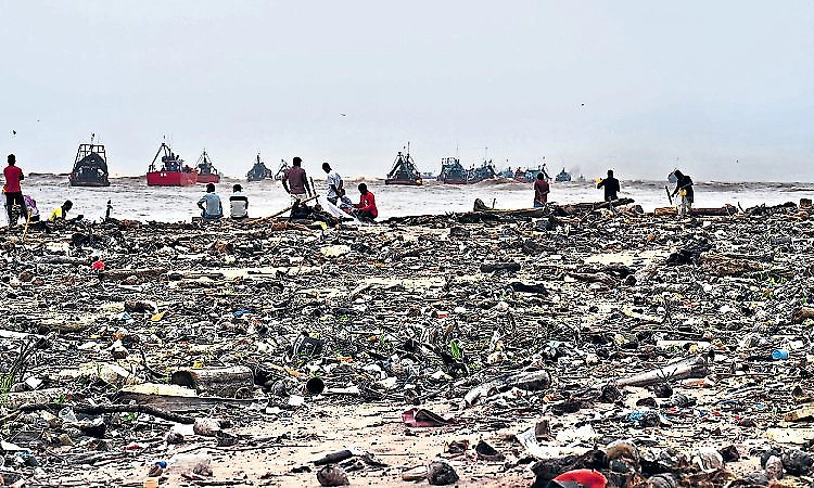 Beach litter piles up at Bengre End Point as river waste washes ashore