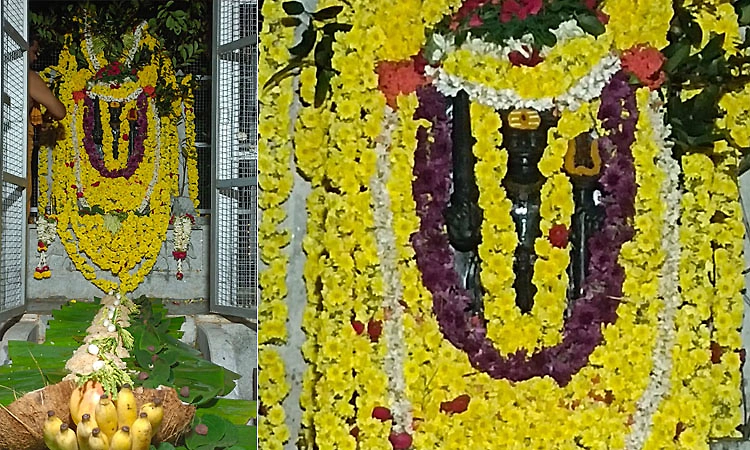ತೀರ್ಥಹಳ್ಳಿ: ಶ್ರೀ ರಾಮನಸರ ನಾಗದೇವತೆ ಚೌಡೇಶ್ವರಿ ಕ್ಷೇತ್ರದಲ್ಲಿ ವೈಭವದ ಮಂಡಲ ಪೂಜೆ,ರಂಗಪೂಜೆ