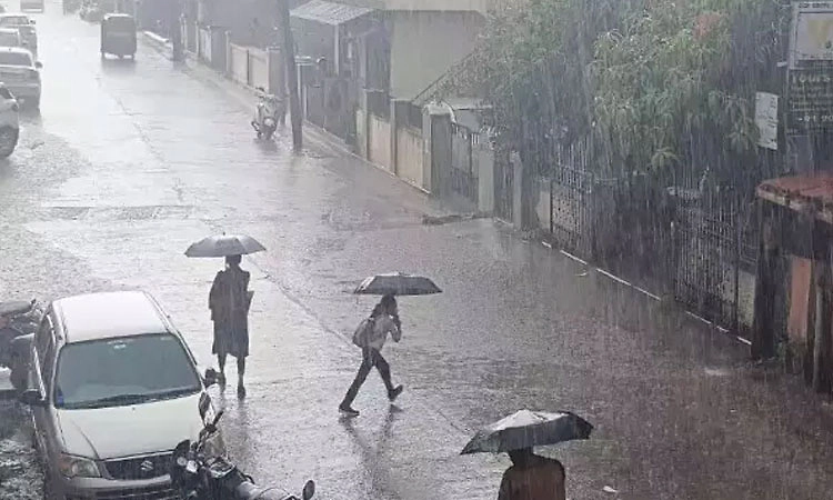 ದಕ್ಷಿಣ ಕನ್ನಡ ಜಿಲ್ಲೆಯಲ್ಲಿ ಸಾಧಾರಣ ಮಳೆ