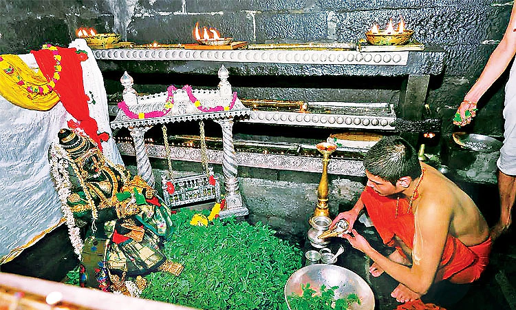 Udupi Krishna Janmashtami celebrations: Krishna Arghya offered amid grand festivities