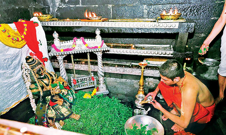 ಉಡುಪಿಯಲ್ಲಿ ಸಂಭ್ರಮದ ಕೃಷ್ಣ ಜನ್ಮಾಷ್ಟಮಿ :ಶ್ರೀ ವೇದವರ್ಧನ ತೀರ್ಥರಿಂದ ಕೃಷ್ಣಾರ್ಘ್ಯ ಪ್ರದಾನ