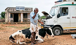 ರಾಜ್ಯದಲ್ಲಿ 1 ಲಕ್ಷ ಜಾನುವಾರಿಗೆ 1 ಪಶು ಆ್ಯಂಬುಲೆನ್ಸ್‌!