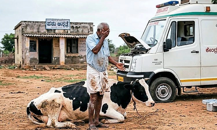 ರಾಜ್ಯದಲ್ಲಿ 1 ಲಕ್ಷ ಜಾನುವಾರಿಗೆ 1 ಪಶು ಆ್ಯಂಬುಲೆನ್ಸ್‌!