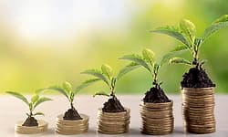 Plants: ಭಾರತದಲ್ಲಿ ಹಸುರು ಉದ್ದಿಮೆ