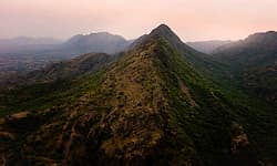 Adoption of new Aravalli definition is 'death warrant' for mountain range, say experts