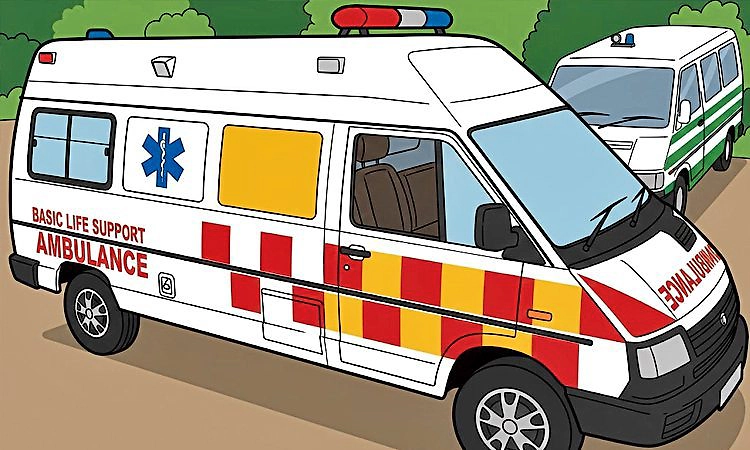 Udupi: 108 ಆ್ಯಂಬುಲೆನ್ಸ್‌ಗಳಿಗೆ ಚಾಲಕ-ನರ್ಸ್‌ ಕೊರತೆ