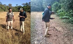 ಕಾರ್ಕಳ-ಕುದುರೆಮುಖ: ಹುಲಿ ಗಣತಿ ಆರಂಭ