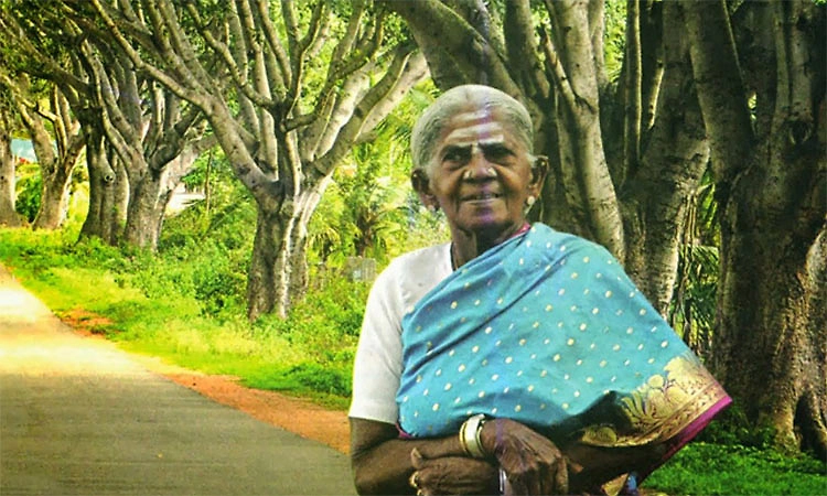 ಮೂಡುಬಿದಿರೆ: ತಿಮ್ಮಕ್ಕ ಟ್ರೀ ಪಾರ್ಕ್‌ ಅನಾಥ- ಕೊಳದಲ್ಲಿ ನೀರಿಲ್ಲ, ಕಾರಂಜಿ ಕುಣಿಯಲ್ಲ !