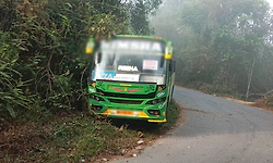 Bus brake failure: Major disaster averted by driver's quick thinking