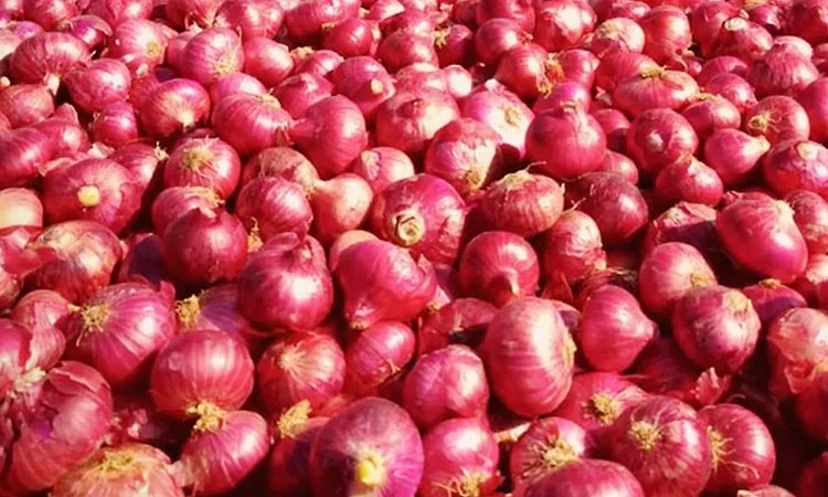 ಈರುಳ್ಳಿ ದರ ಡಿಢೀರ್‌ ಕುಸಿತ: ಕಂಗಾಲಾದ ರೈತ