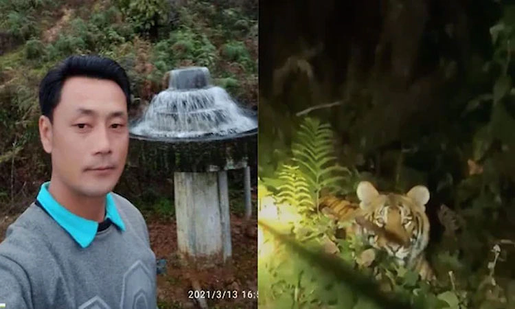 Arunachal: ಹೊಂಚು ಹಾಕಿ ಕುಳಿತಿದ್ದ‌ ಹುಲಿ ದಾಳಿಗೆ ಪೊಲೀಸ್‌ ಹೆಡ್ ಕಾನ್ಸ್‌ ಟೇಬಲ್‌ ಸಾವು