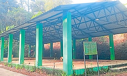 Punjalkatte: ಪಾಳುಬಿದ್ದ ಮಣಿನಾಲ್ಕೂರು ಮಾರುಕಟ್ಟೆ