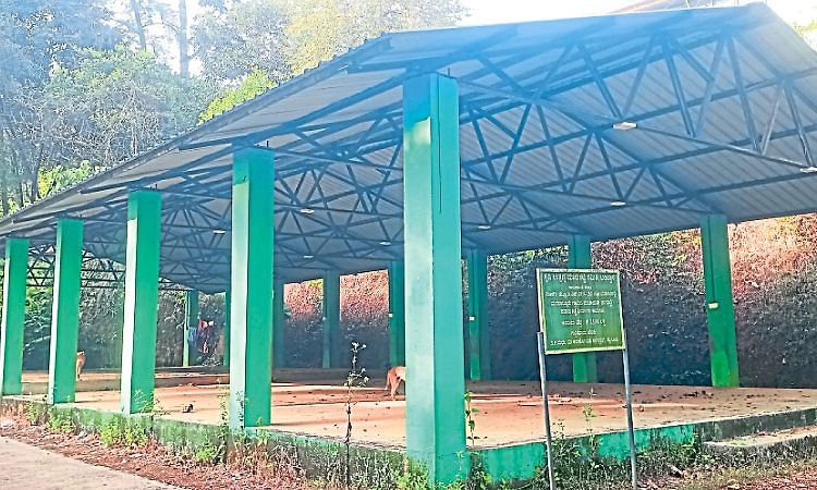 Punjalkatte: ಪಾಳುಬಿದ್ದ ಮಣಿನಾಲ್ಕೂರು ಮಾರುಕಟ್ಟೆ