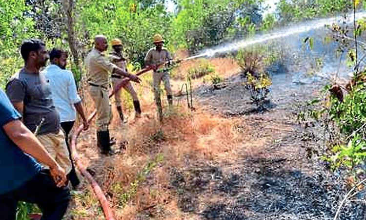 Kaniyoor: ಮುಂಗ್ಲಿಮಜಲು ಅರಣ್ಯ ಪ್ರದೇಶಕ್ಕೆ ಬೆಂಕಿ ಅಪಾರ ನಷ್ಟ