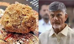 ಜಗನ್‌ ಅವಧಿಯಲ್ಲಿ ತುಪ್ಪಕ್ಕೆ ಬಾತ್‌ರೂಮ್ ಸ್ವಚ್ಛಗೊಳಿಸುವ ರಾಸಾಯನಿಕ ಬಳಕೆ: ಆಂಧ್ರ ಸಿಎಂ 