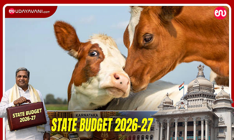 Karnataka budget 2026: Major announcements for dairy and animal husbandry sector
