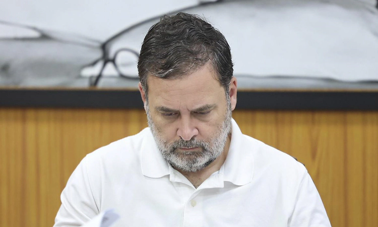 Rahul Gandhi interacts with tea estate workers in Kerala's Idukki