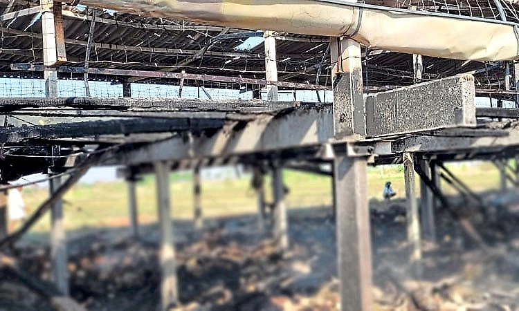 Sindhanur: Around 700 goats perish in massive fire at Mukkunda village