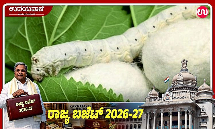 ರೇಷ್ಮೆ ನಾಡಿಗೆ ಸಿಎಂ ಸಿದ್ದು ಸಿಹಿ ಸುದ್ದಿ; 5 ಜಿಲ್ಲೆಗಳಲ್ಲಿ 'ಸಿಲ್ಕ್ ಪಾರ್ಕ್' ಸ್ಥಾಪನೆ!