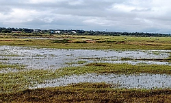 ಜಿಲ್ಲೆಯಲ್ಲಿ 191 ಗ್ರಾಮದಲ್ಲಿ ನೀರಿಗೆ ಸಮಸ್ಯೆ ಪತ್ತೆ