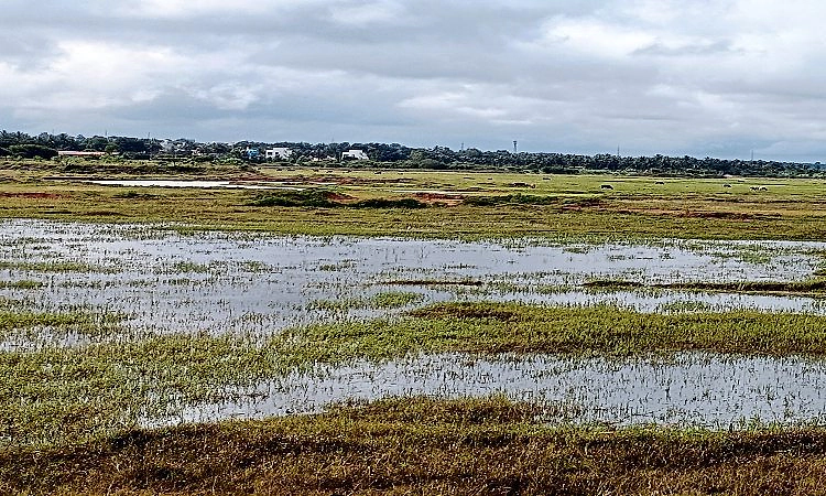 ಜಿಲ್ಲೆಯಲ್ಲಿ 191 ಗ್ರಾಮದಲ್ಲಿ ನೀರಿಗೆ ಸಮಸ್ಯೆ ಪತ್ತೆ
