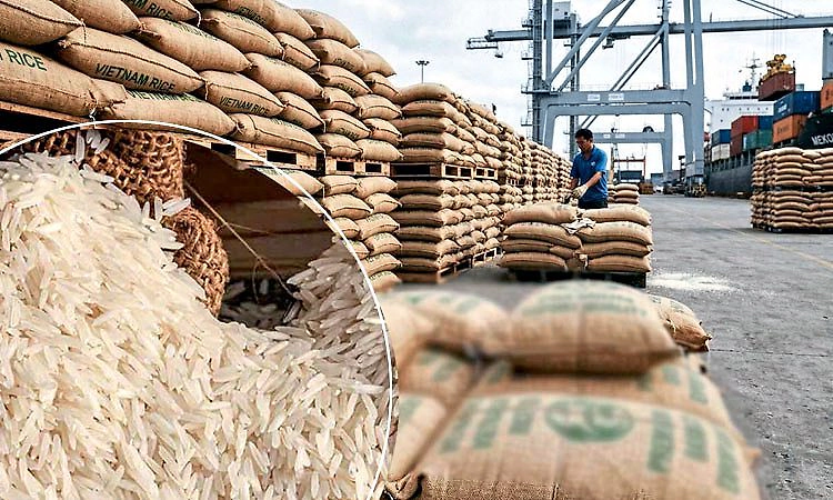 ಇರಾನ್-ಇಸ್ರೇಲ್ ಸಂಘರ್ಷದ ಬಿಸಿ ಭಾರತದ ರೈತರಿಗೆ! 4 ಲಕ್ಷ ಟನ್ ಬಾಸ್ಮತಿ ಅಕ್ಕಿ ರಫ್ತು ಸ್ಥಗಿತ