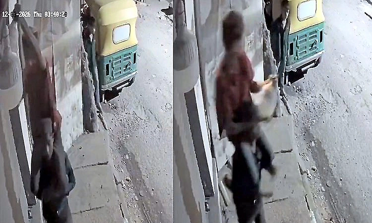 LED bulbs stolen from shop front in Bengaluru; incident caught on camera