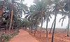 Maravanthe: ಕಗ್ಗತ್ತಲ ದಾರಿಯಲ್ಲಿ ಮೀನುಗಾರರ ಸಂಚಾರ